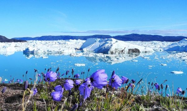 Гренландия природа