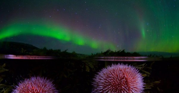 Море Лаптевых Северное сияние