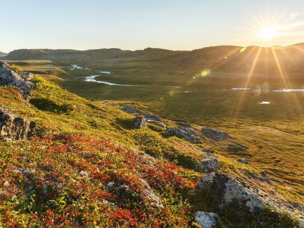 Тундра Кольского полуострова
