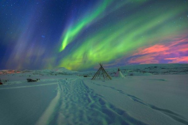 Северное сияние Ямбург