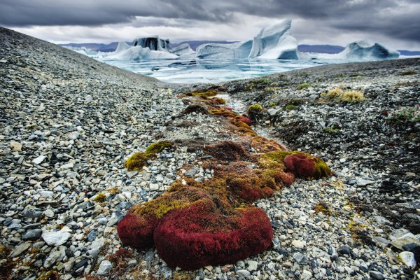 Остров Элсмир