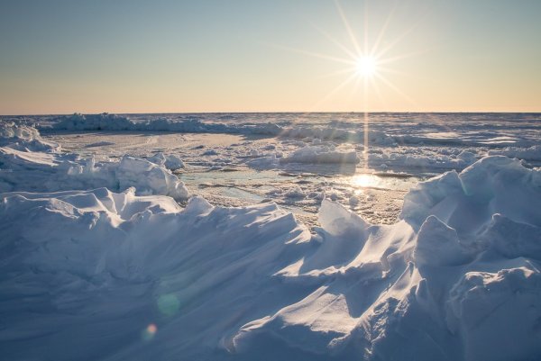 Полярный полюс