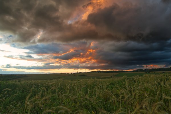 Летние тучи