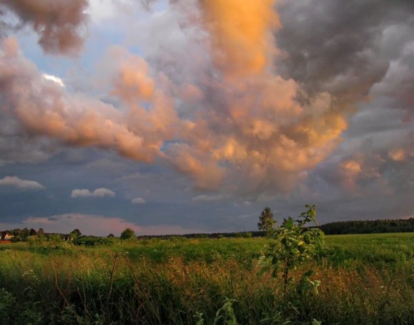 Тучи перед дождем