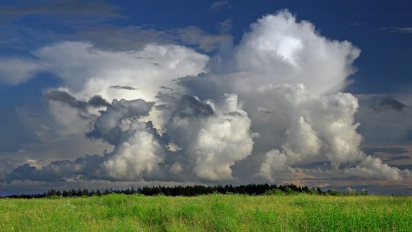 Кучевые облака над полем