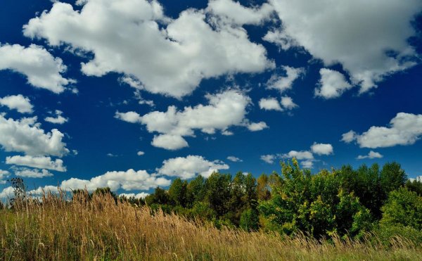 Тучи летом
