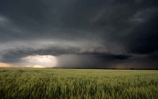 Дождь в степи