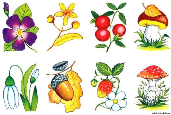 Атрибуты летнего отдыха