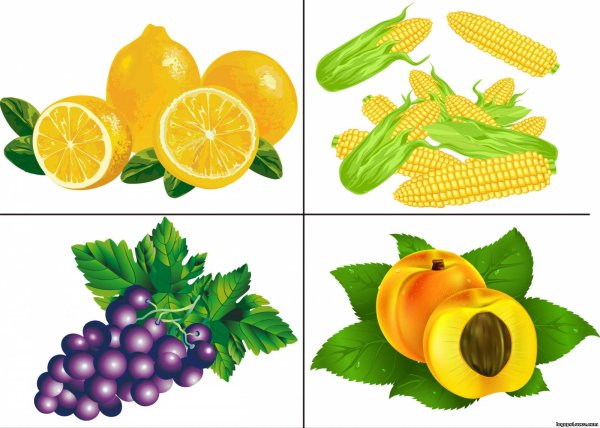 Пляж на прозрачном фоне