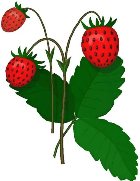 Одежда обувь головные уборы