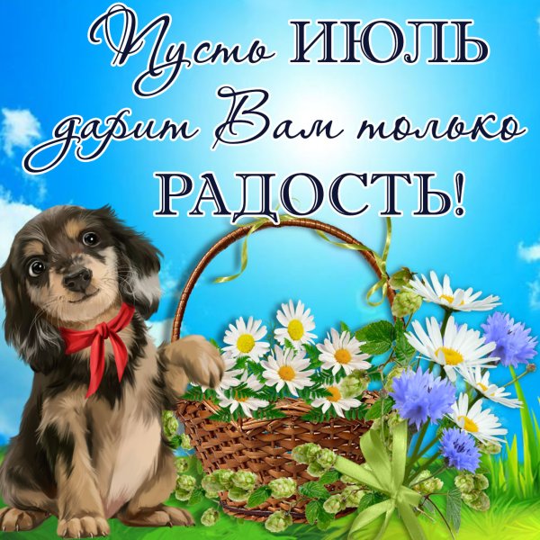 Открытки хорошего летнего дня