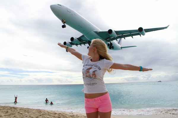 Поляна с цветами