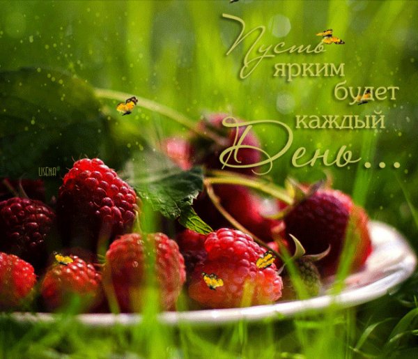Прекрасного летнего настроения и удачи