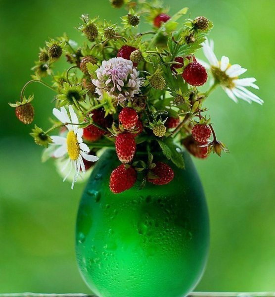 Летнего настроения картинки