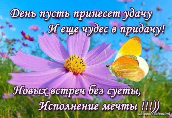 Солнышка в душе