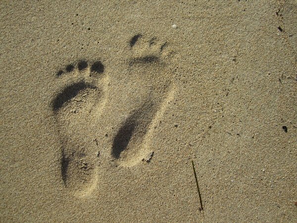 Следы на земле