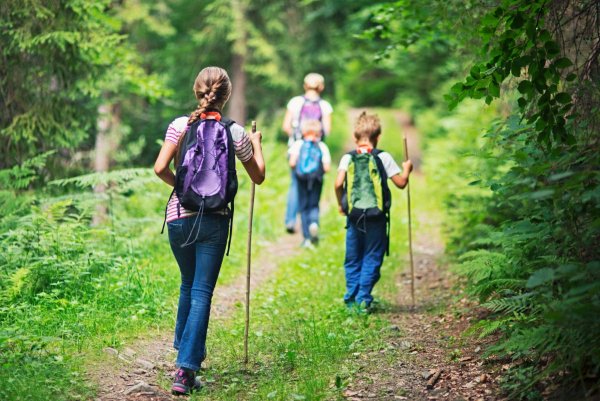 Пешие прогулки на природе