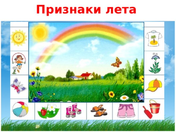Лето признаки лета