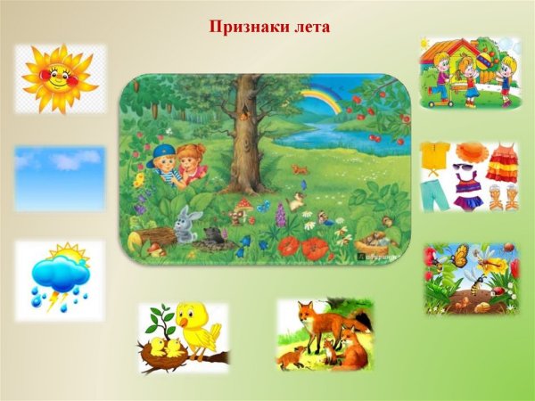 Признаки лета для детей