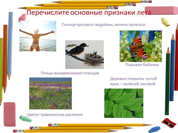 Лето признаки лета