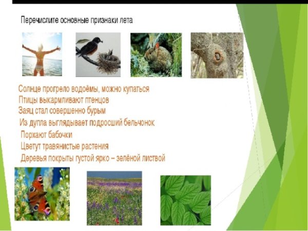 Признаки лета для детей