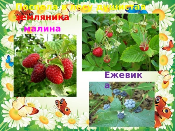 Карточки времена года для детей