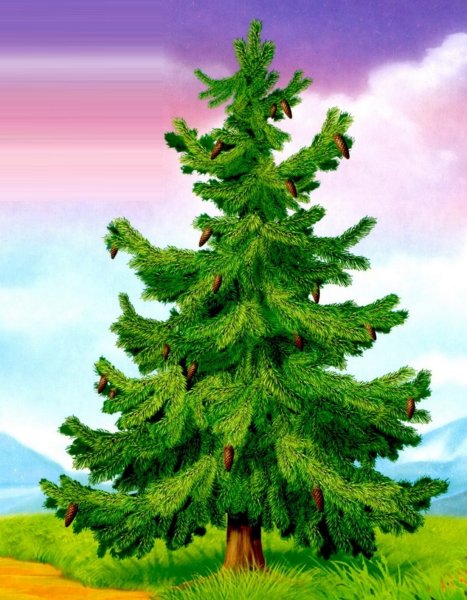 Лес на белом фоне