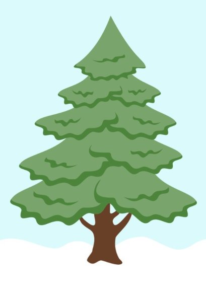 Ельник Кисличник