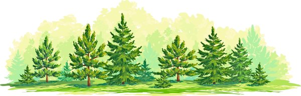 Зимняя елка для детей