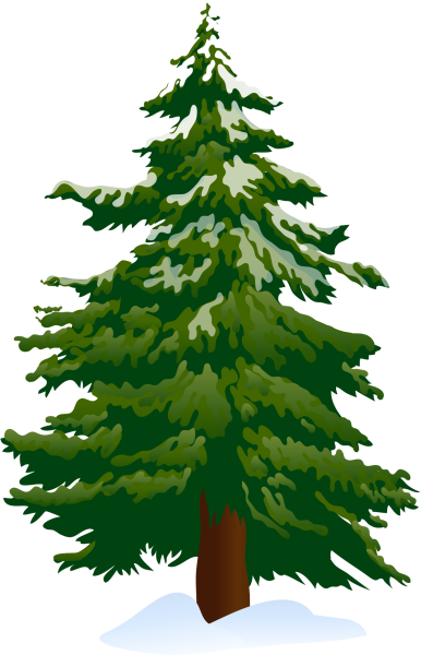 Лес на прозрачном фоне