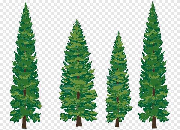 Елка рисунок