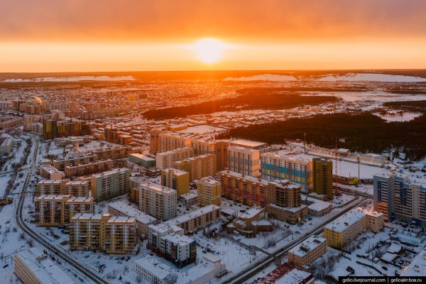 Река Лена Тайга