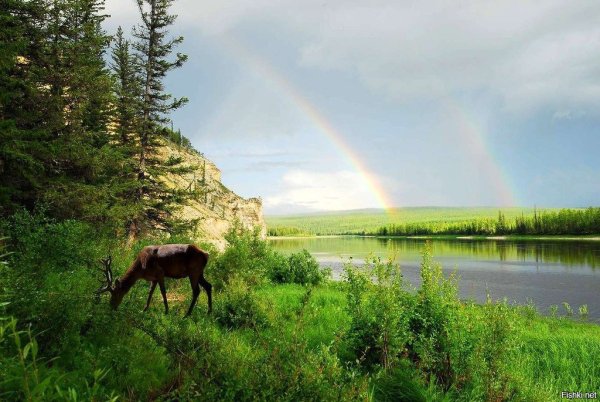 Якутск исторический центр