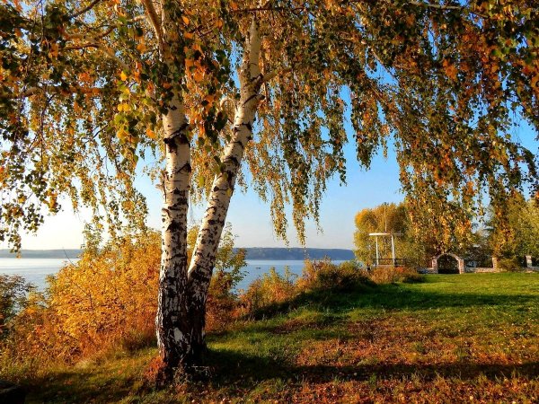 Уральские Березки Пермский край