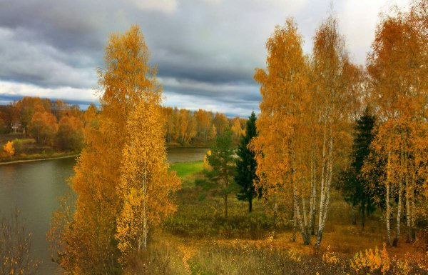 Отговорила осень Золотая Есенин