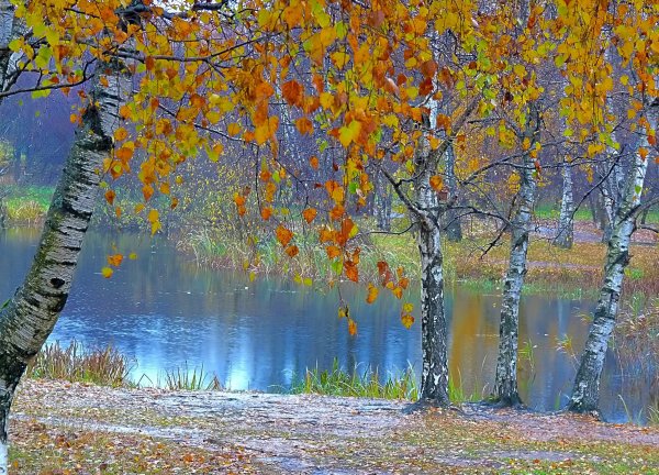 Времена года