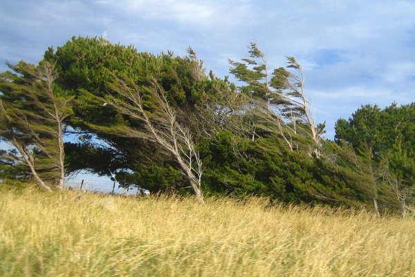 Легкий ветер