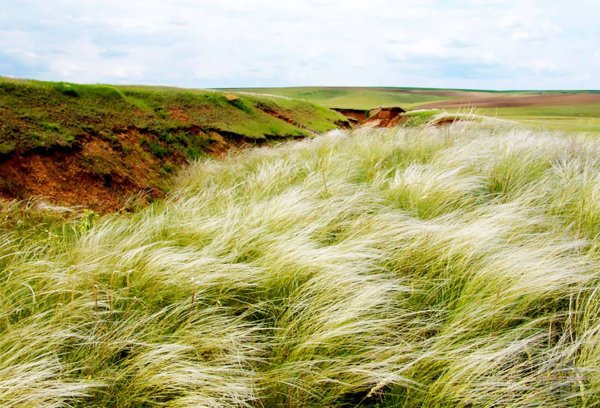 Ветер в природе