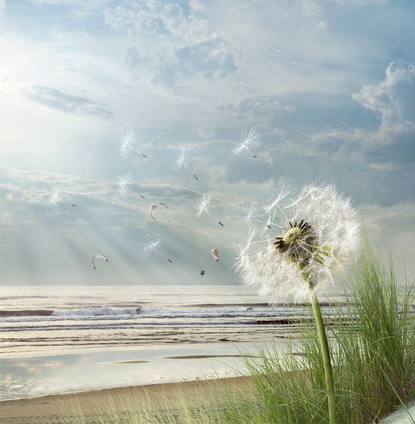 Прохладное лето