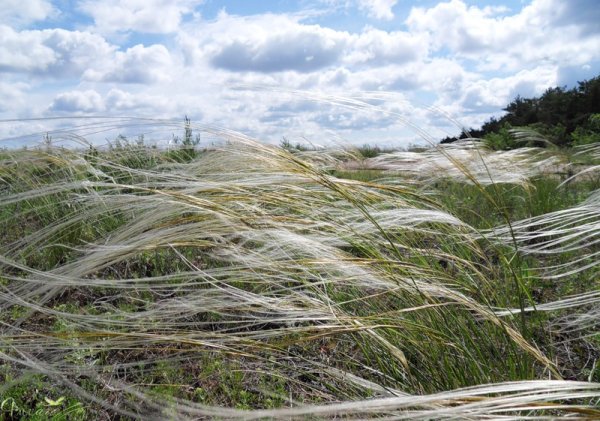 Грозовое небо