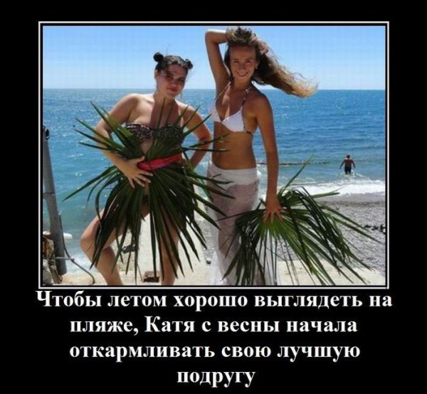 Анекдоты про лето