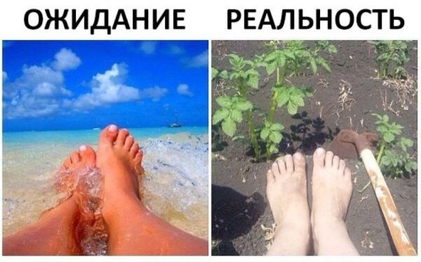 Отпуск ожидание и реальность