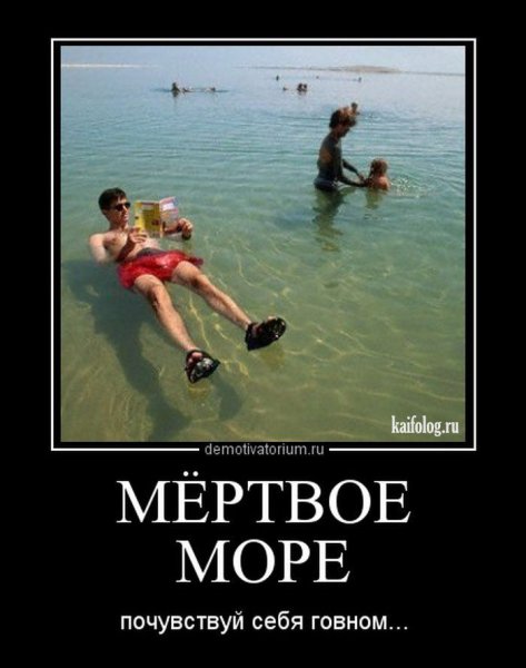 Приколы про лето