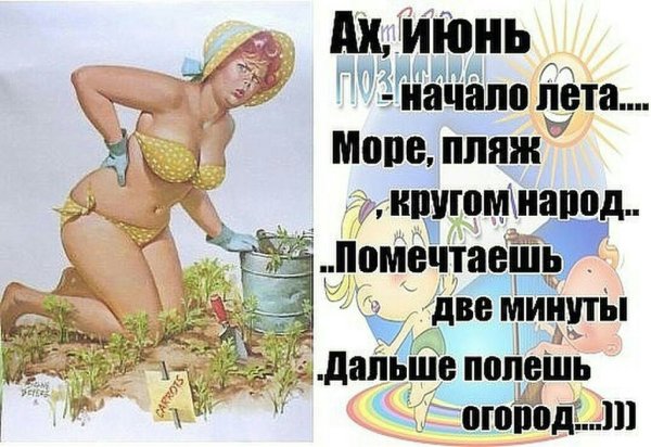 Смешные афоризмы на каждый день