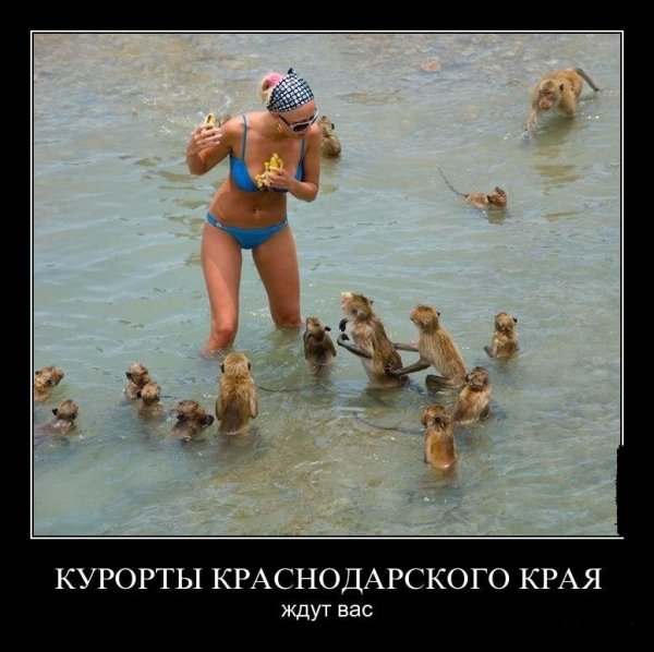 Фразы про море прикольные