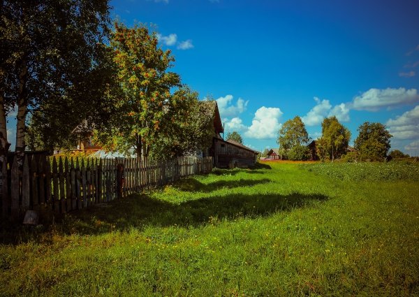 Природа деревня