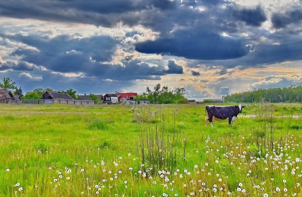 Сельская жизнь