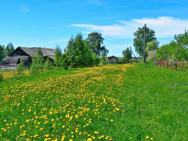 Майский в России поселение деревня