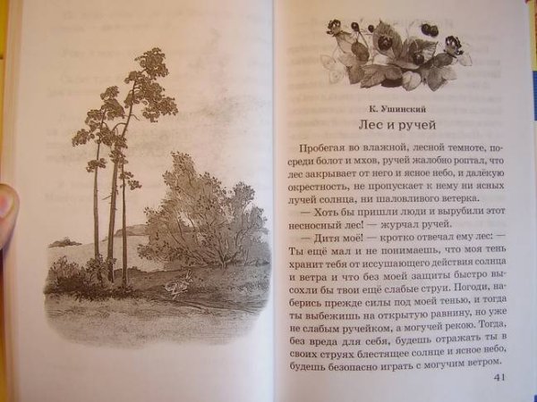 К.Ушинского "дети в роще"
