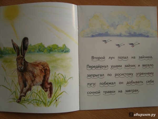 Лес и ручей Ушинский
